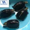 Chinese Box Turtle For Sale