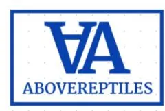 Abovereptiles