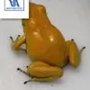 phyllobates terribilis